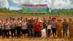 Sinergi Polsek Samarinda Kota dan Forkopimcam Dukung Program Swasembada Pangan